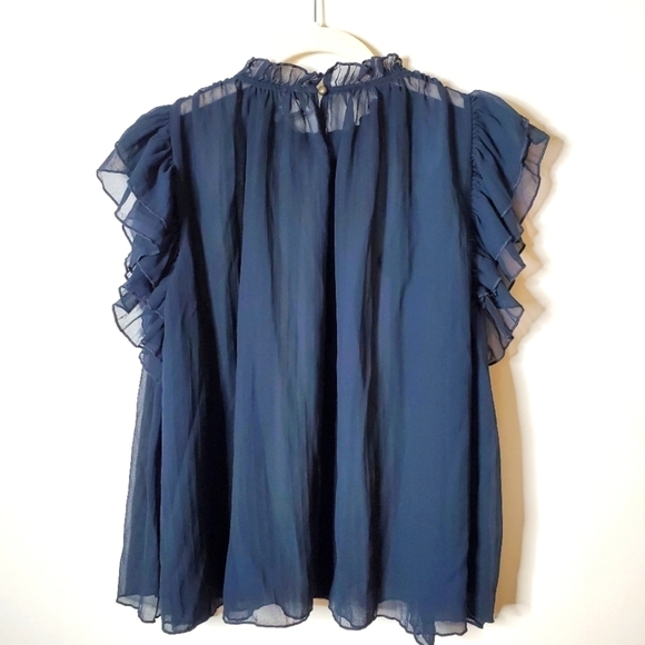 Anthropologie Sheer Chiffon Ruffle Blouse Top - Picture 7 of 14